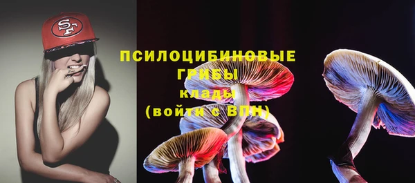 тгк Надым
