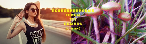 мдпв Наволоки