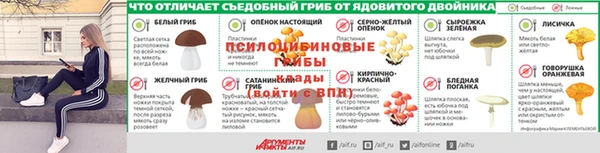 мдпв Наволоки