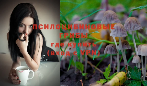 мдпв Наволоки