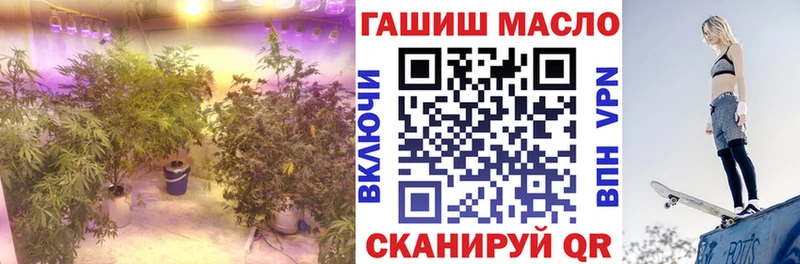 ТГК Wax  дарнет шоп  мега онион  Заозёрск 