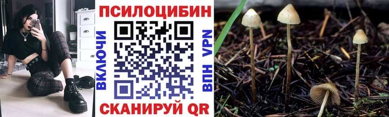 Псилоцибиновые грибы Psilocybe  гидра как зайти  Заозёрск 